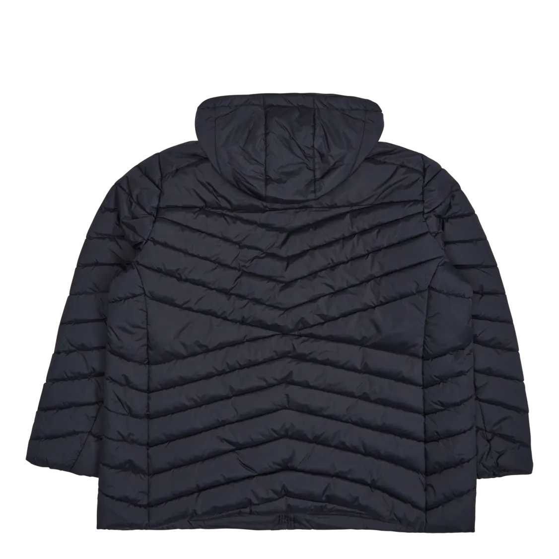 Ally Jacket Black