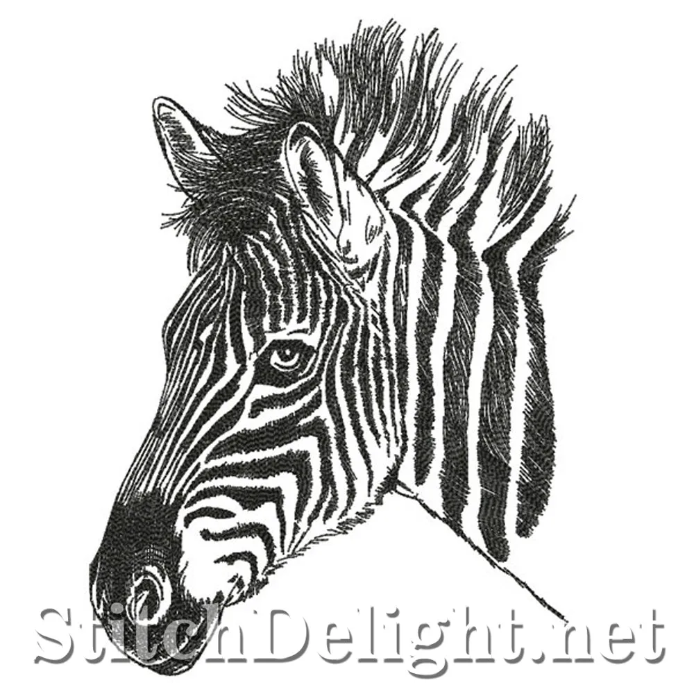 SDS0768 Pencil Sketch Zebra
